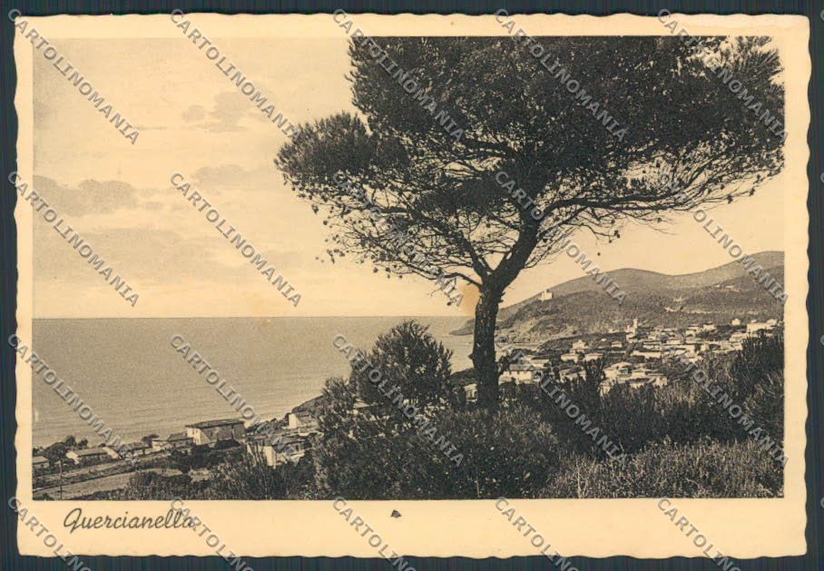 Livorno Quercianella Panorama FG cartolina BB2911 – fronte