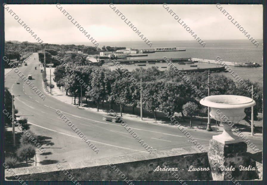 Livorno Ardenza Viale Italia PIEGA foto FG cartolina BB2914 – fronte