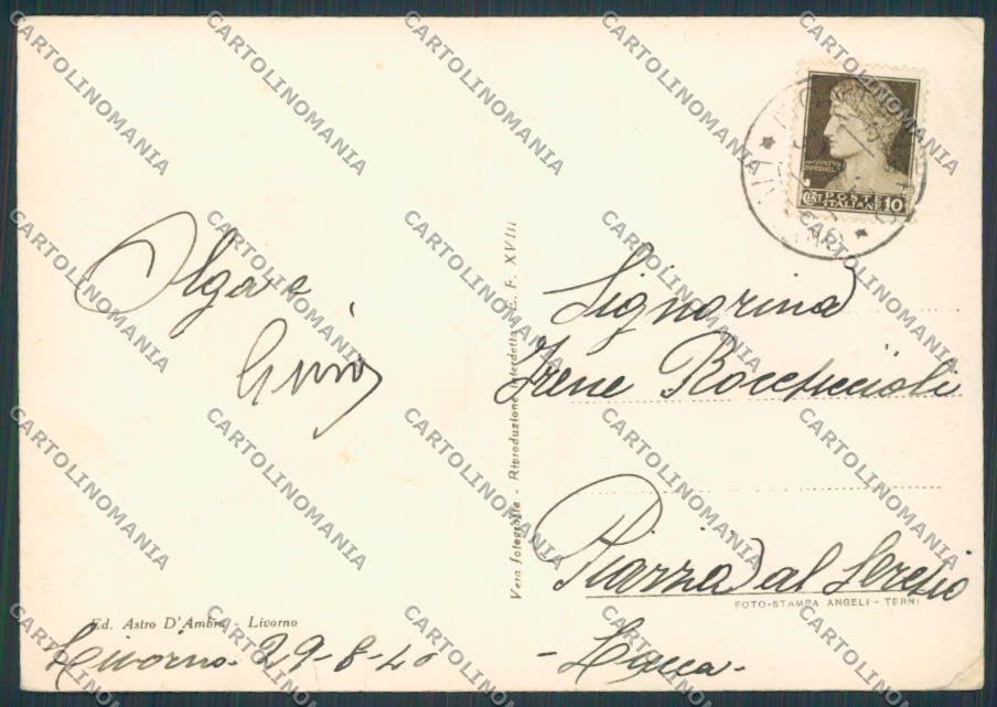 Livorno Montenero saluti da foto FG cartolina BB2915 – retro