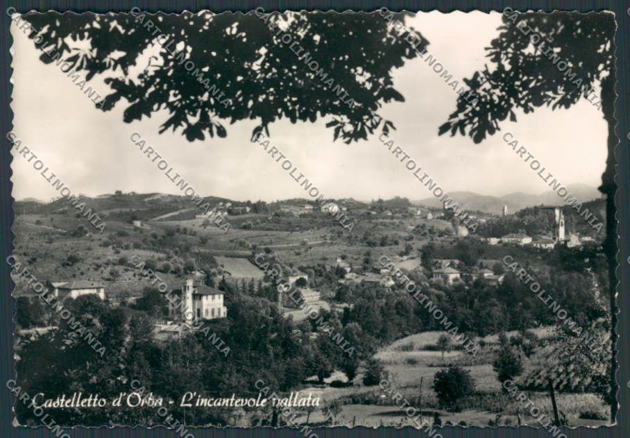Alessandria Castelletto D'Orba Panorama foto FG cartolina BB2920 – fronte