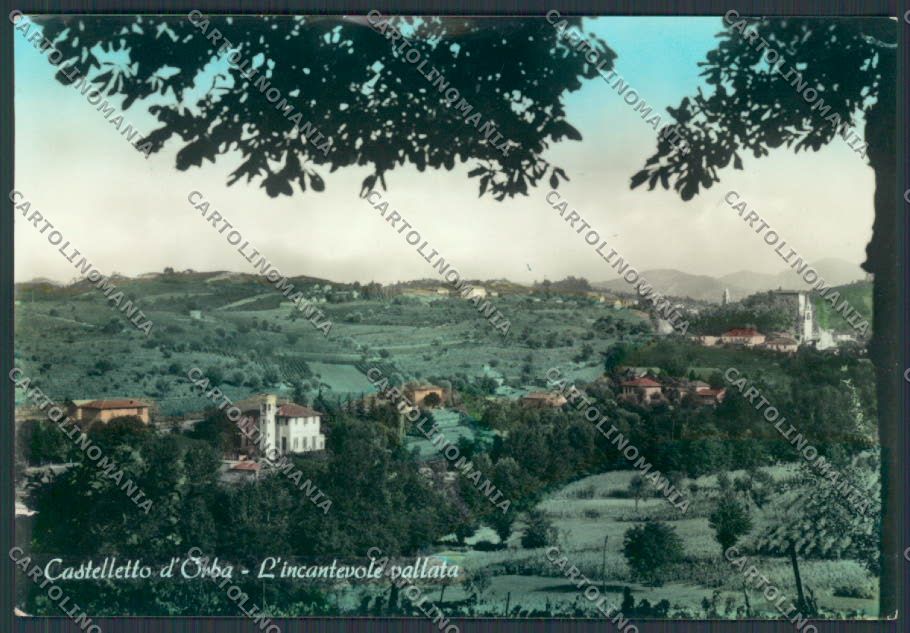 Alessandria Castelletto D'Orba Panorama foto FG cartolina BB2921 – fronte