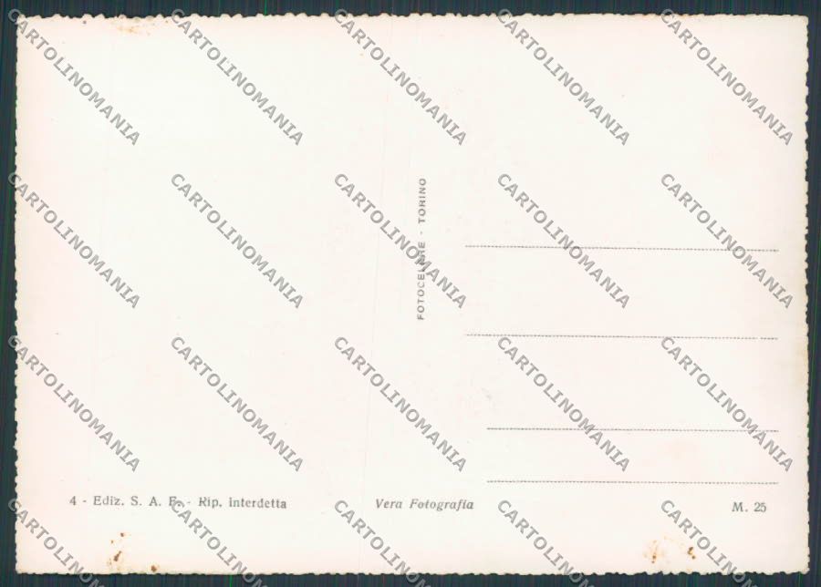 Alessandria Casale Monferrato Panorama foto FG cartolina BB2933 – retro