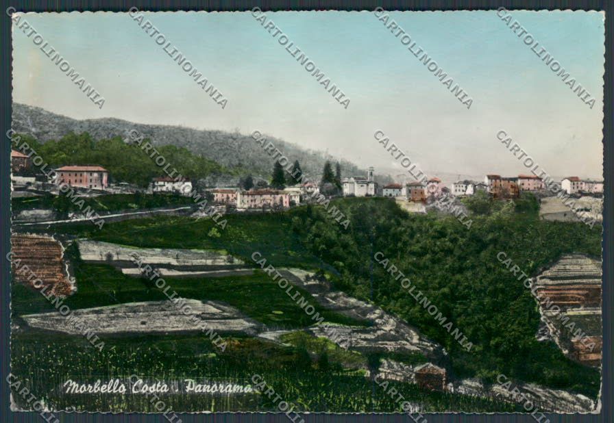 Alessandria Morbello Panorama foto FG cartolina BB2956 – fronte