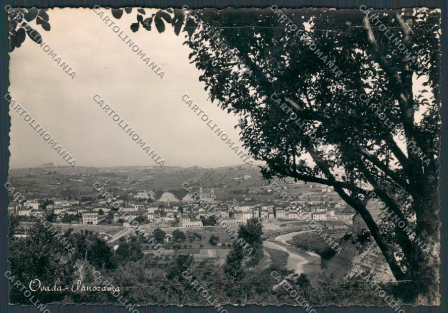 Alessandria Ovada Panorama foto FG cartolina BB2965 – fronte