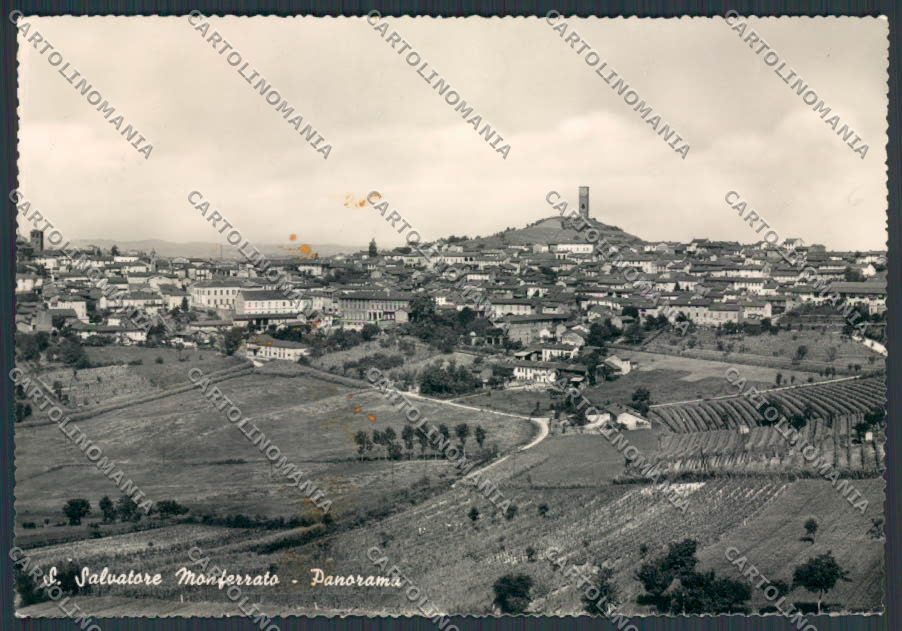 Alessandria San Salvatore Monferrato Panorama MACCHIA foto FG cartolina BB2973 – fronte