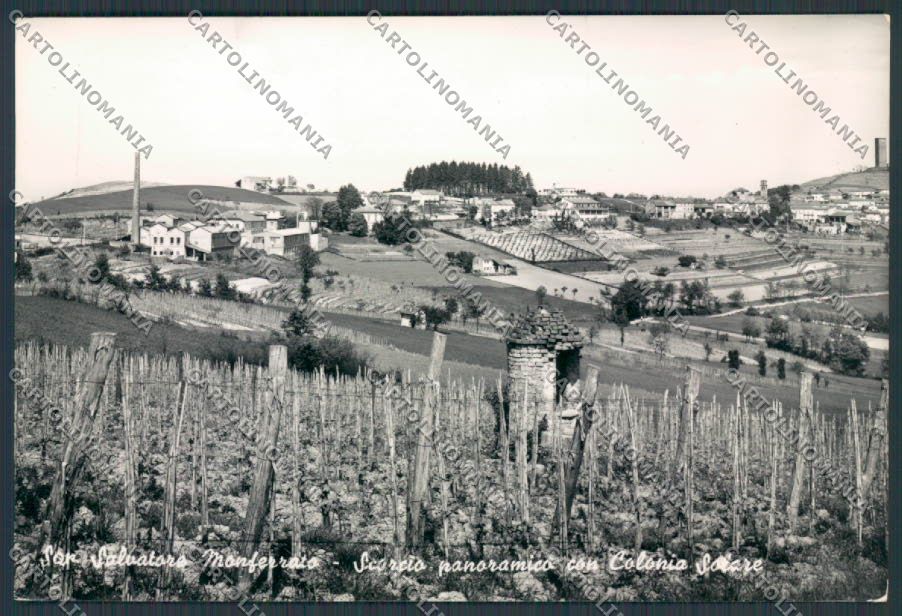 Alessandria San Salvatore Monferrato Panorama foto FG cartolina BB2976 – fronte