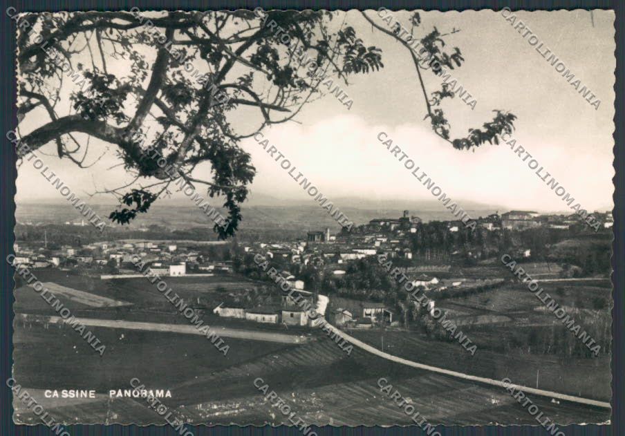 Alessandria Cassine Panorama foto FG cartolina BB2979 – fronte