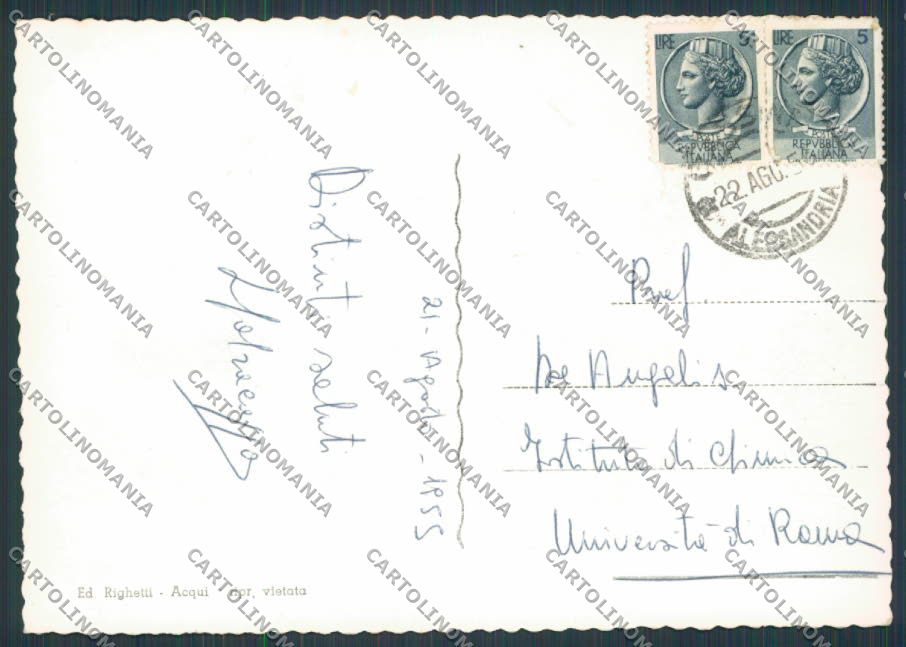 Alessandria Cassine Panorama foto FG cartolina BB2979 – retro