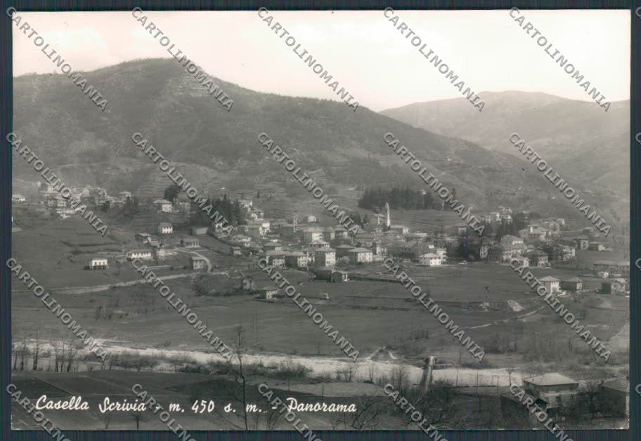 Alessandria Casella Scrivia Panorama foto FG cartolina BB2988 – fronte