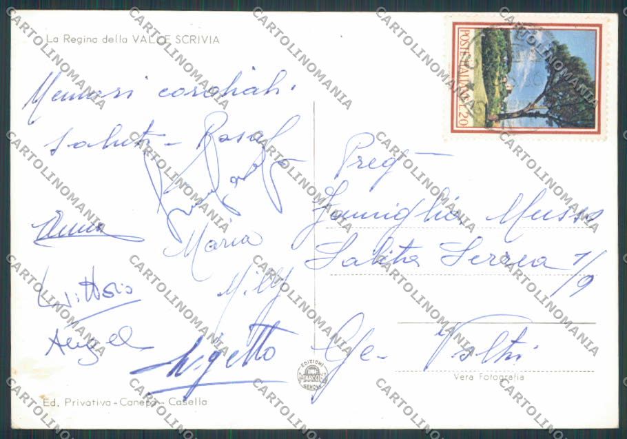 Alessandria Casella Scrivia Panorama foto FG cartolina BB2988 – retro