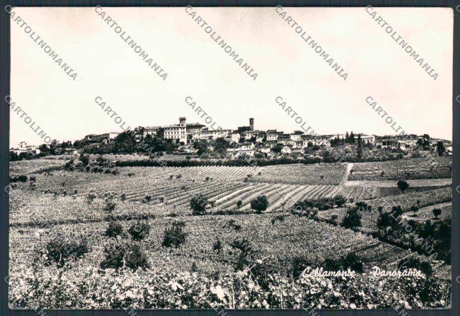 Alessandria Cellamonte Panorama foto FG cartolina BB3003 – fronte