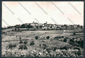 Alessandria Cellamonte Panorama foto FG cartolina BB3003 – fronte