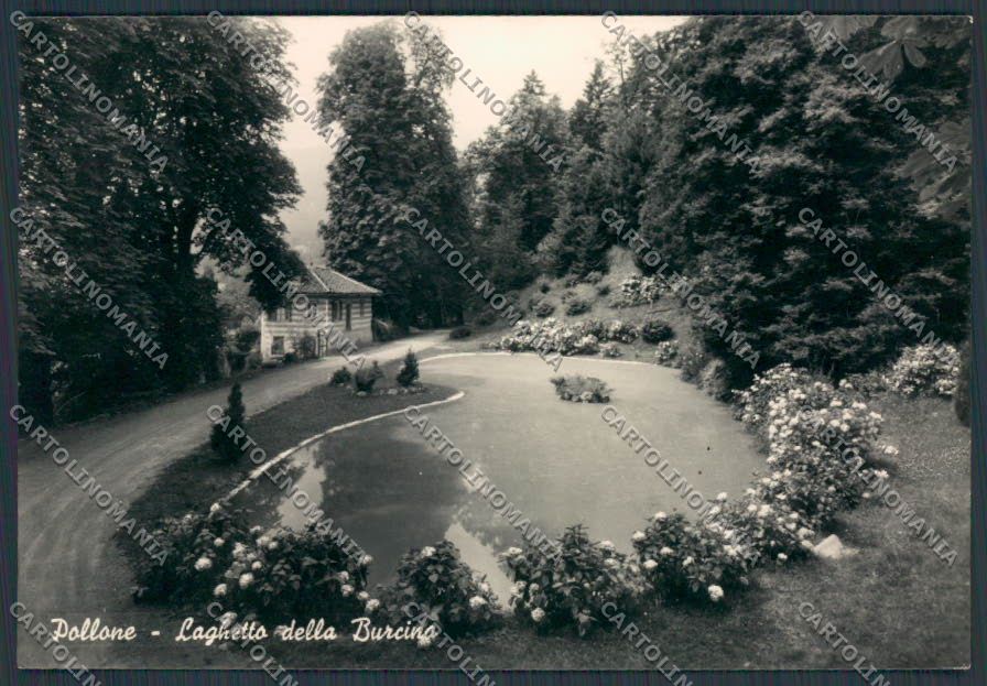Biella Pollone Laghetto della Burcina foto FG cartolina BB3041 – fronte