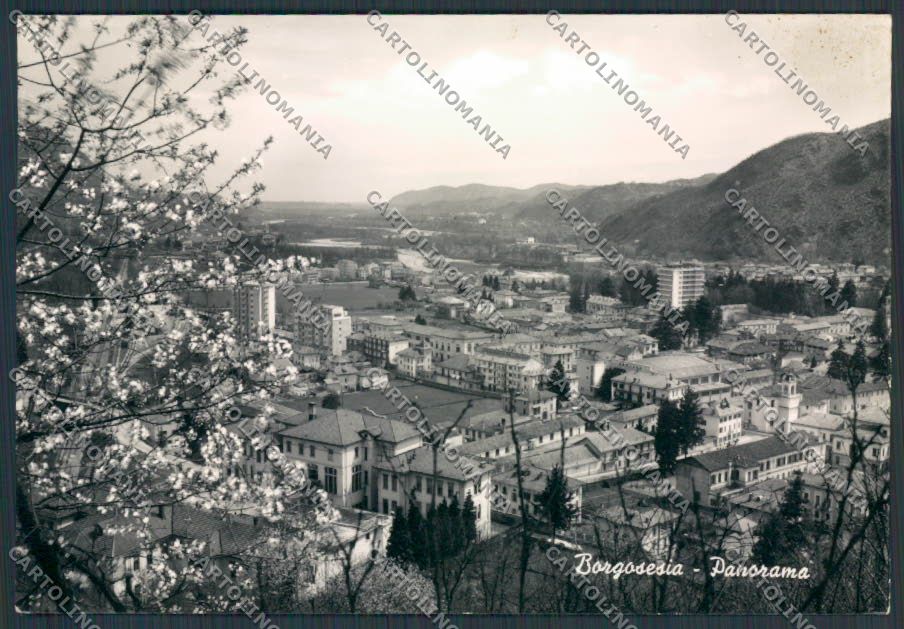 Vercelli Borgosesia Panorama foto FG cartolina BB3082 – fronte