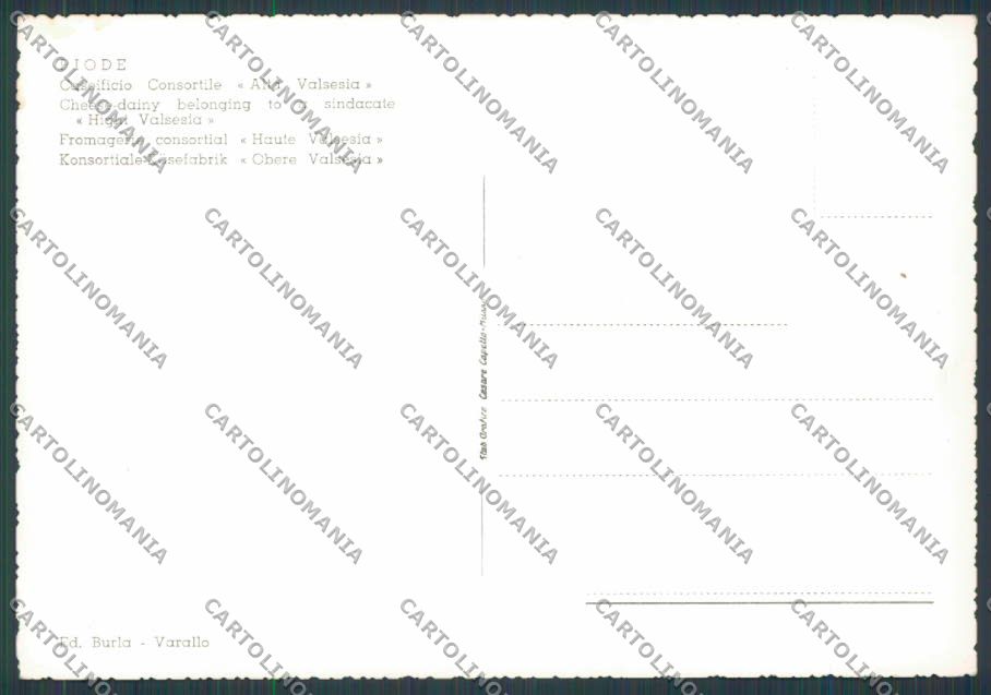 Vercelli Piode Caseificio Consortile foto FG cartolina BB3091 – retro