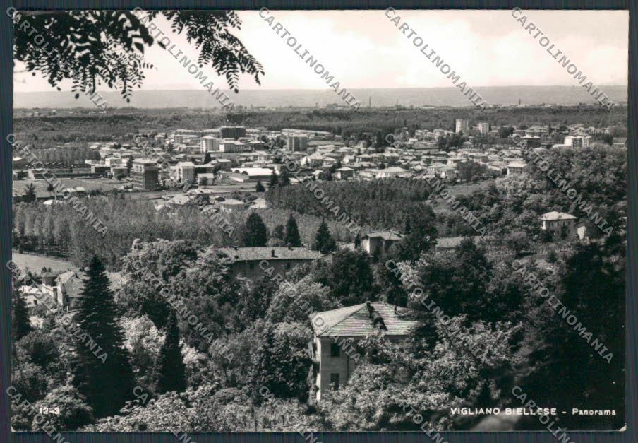 Biella Vigliano Biellese Panorama foto FG cartolina BB3102 – fronte