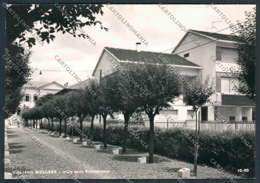 Biella Vigliano Biellese Via Rimembranze foto FG cartolina BB3103 – fronte