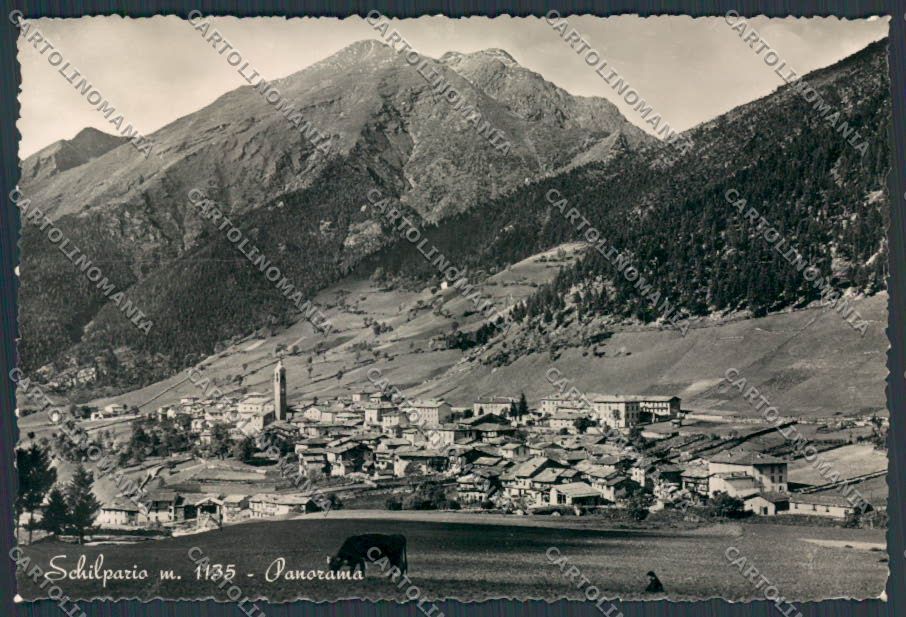 Bergamo Schilpario Panorama foto FG cartolina BB3155 – fronte