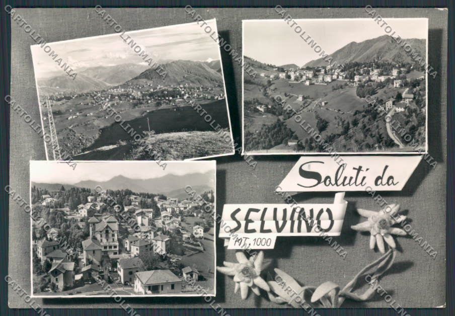 Bergamo Selvino saluti da foto FG cartolina BB3158 – fronte