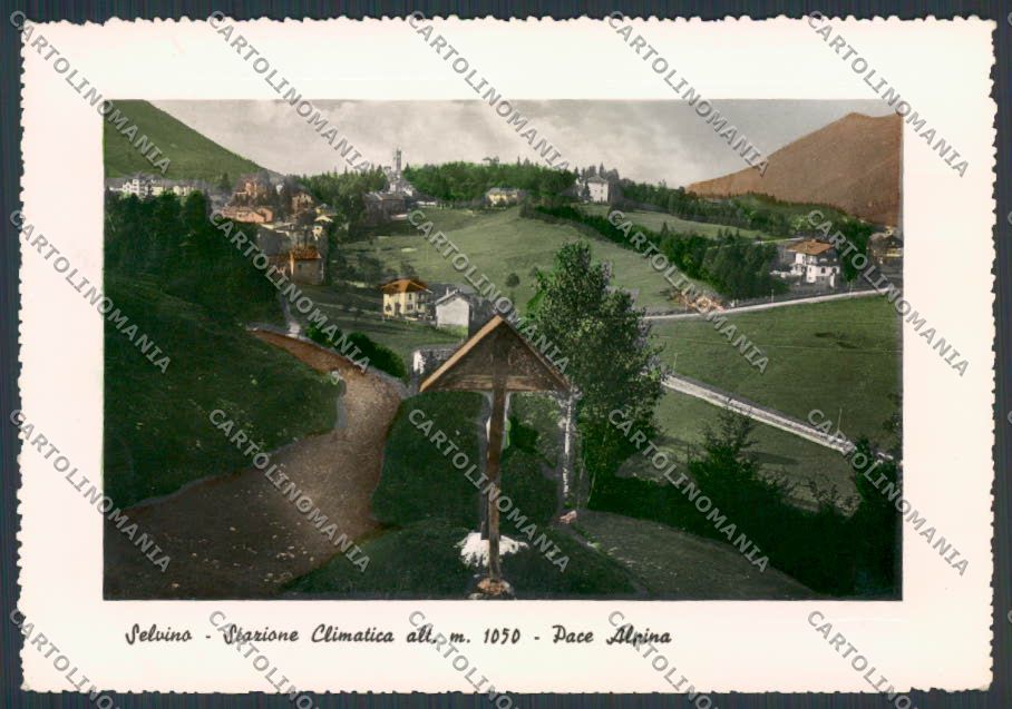 Bergamo Selvino Panorama foto FG cartolina BB3159 – fronte