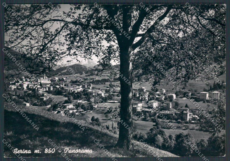 Bergamo Serina Panorama foto FG cartolina BB3184 – fronte