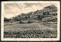 Bergamo Valcava Campi di Narcisi foto FG cartolina BB3195 – fronte