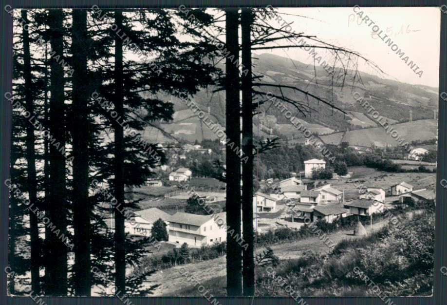 Prato Montepiano Villaggio Alpino foto FG cartolina BB3244 – fronte