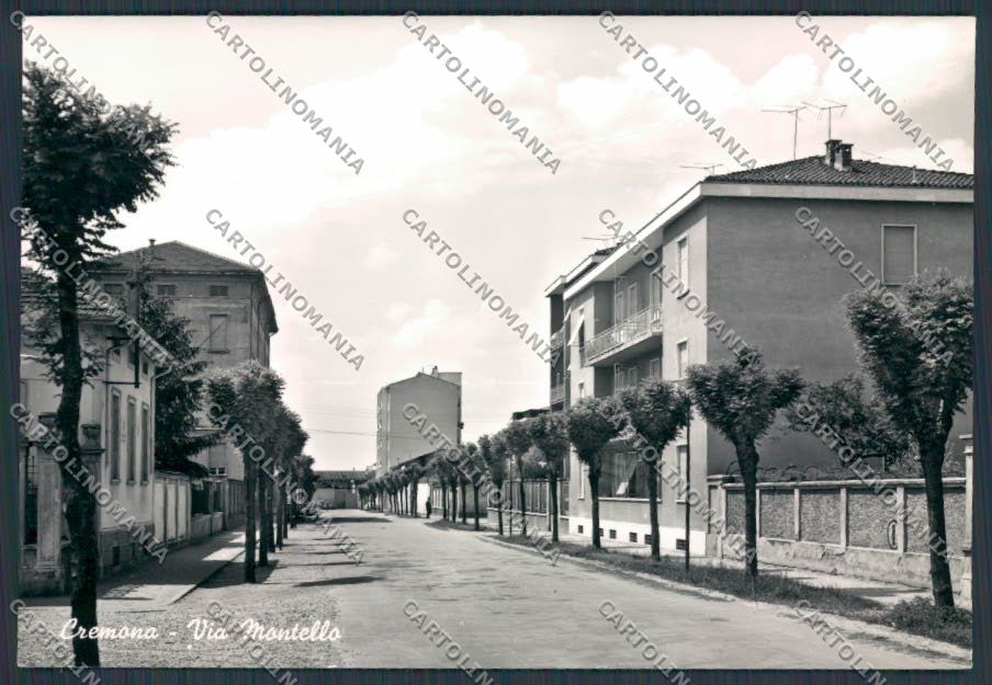 Cremona Città Via Montello foto FG cartolina BB3315 – fronte