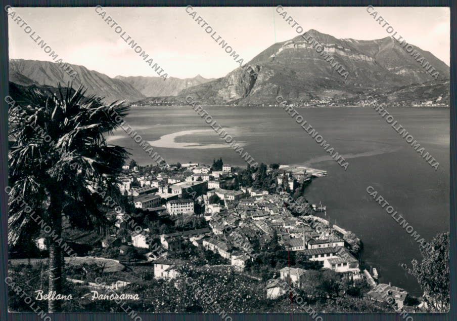 Lecco Bellano Panorama foto FG cartolina BB3359 – fronte