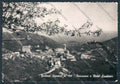 Cuneo Frabosa Soprana Panorama Hotel Excelsior foto FG cartolina BB3395 – fronte