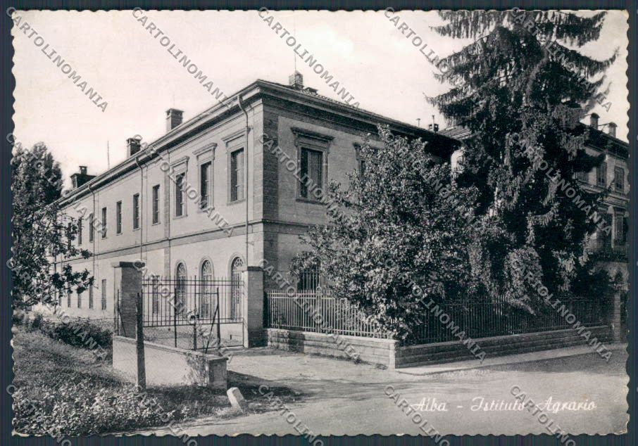 Cuneo Alba Istituto Agrario ABRASA foto FG cartolina BB3415 – fronte