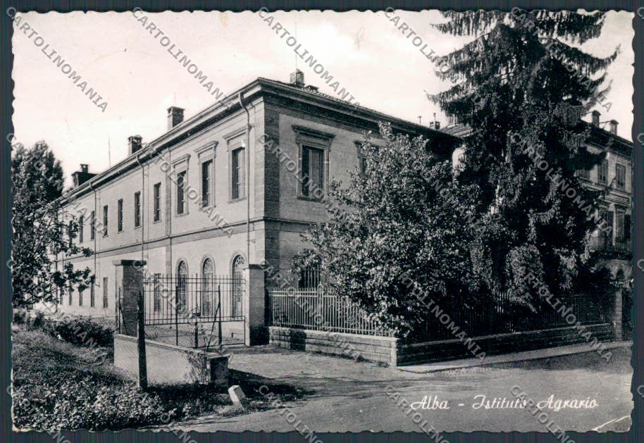 Cuneo Alba Istituto Agrario foto FG cartolina BB3420 – fronte