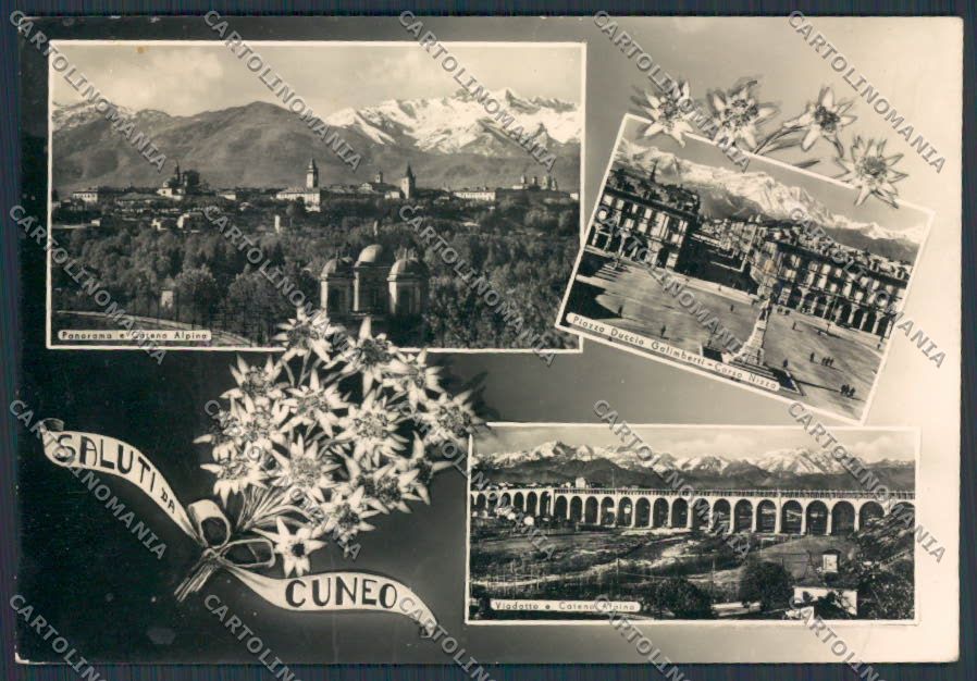 Cuneo Città saluti da foto FG cartolina BB3444 – fronte