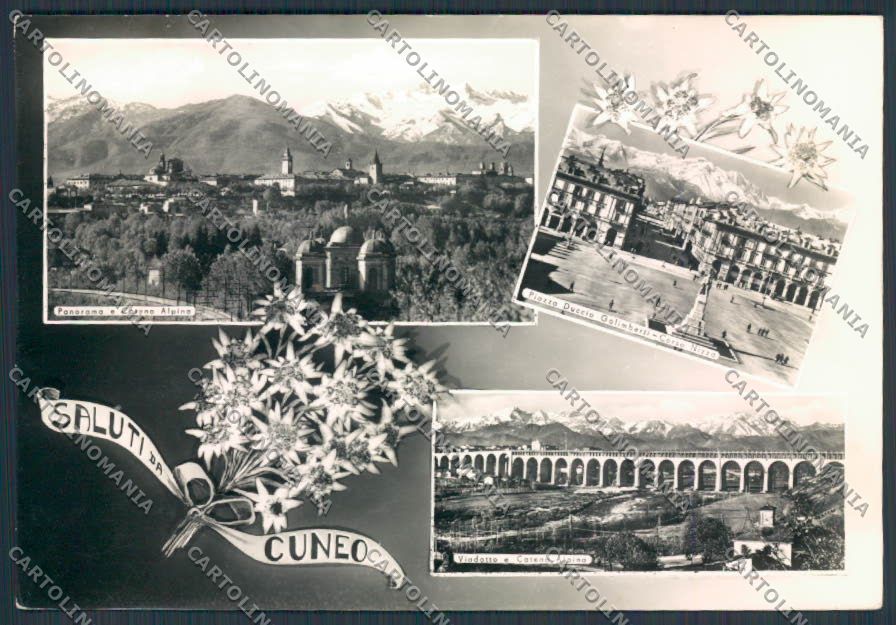 Cuneo Città saluti da foto FG cartolina BB3447 – fronte
