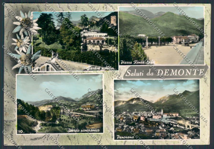 Cuneo Demonte saluti da foto FG cartolina BB3525 – fronte