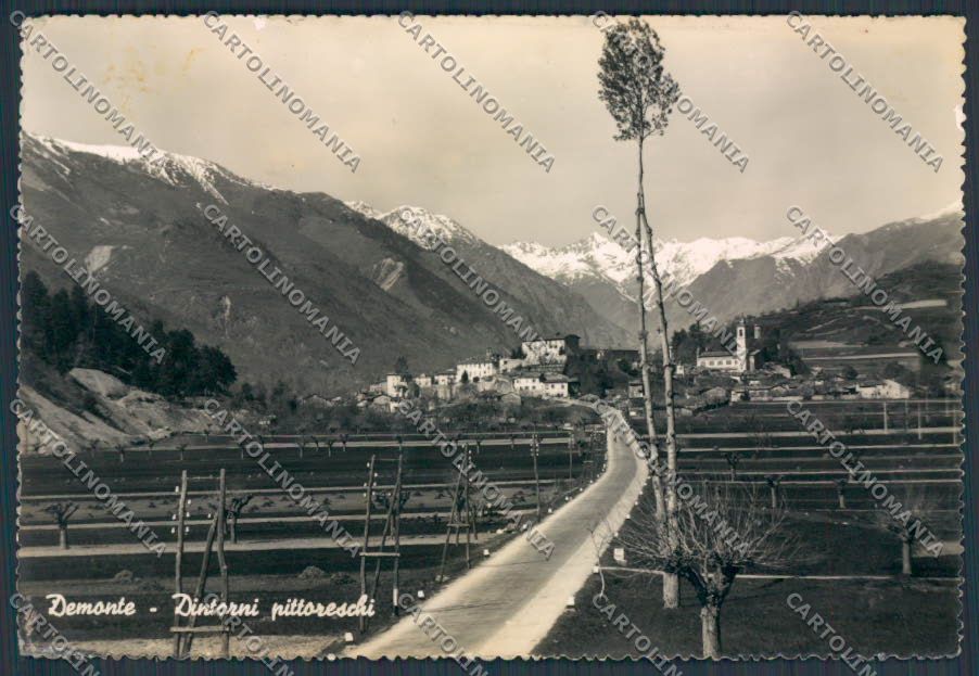 Cuneo Demonte Panorama foto FG cartolina BB3526 – fronte