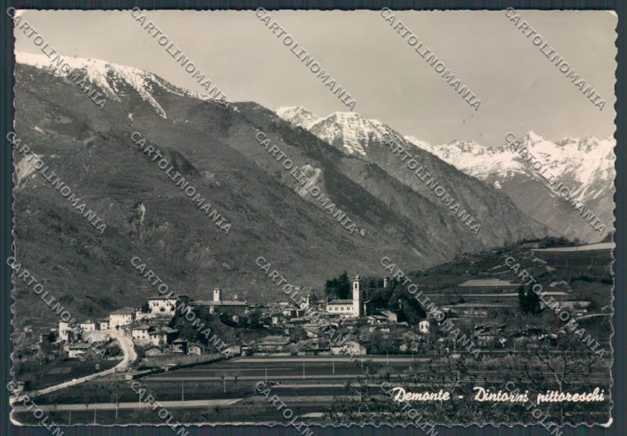 Cuneo Demonte Panorama foto FG cartolina BB3528 – fronte