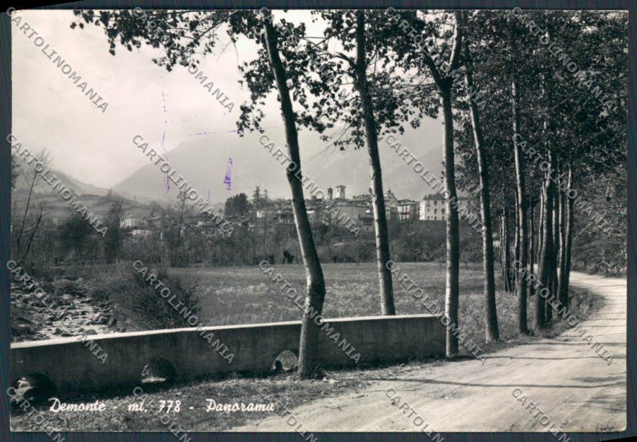 Cuneo Demonte Panorama foto FG cartolina BB3529 – fronte
