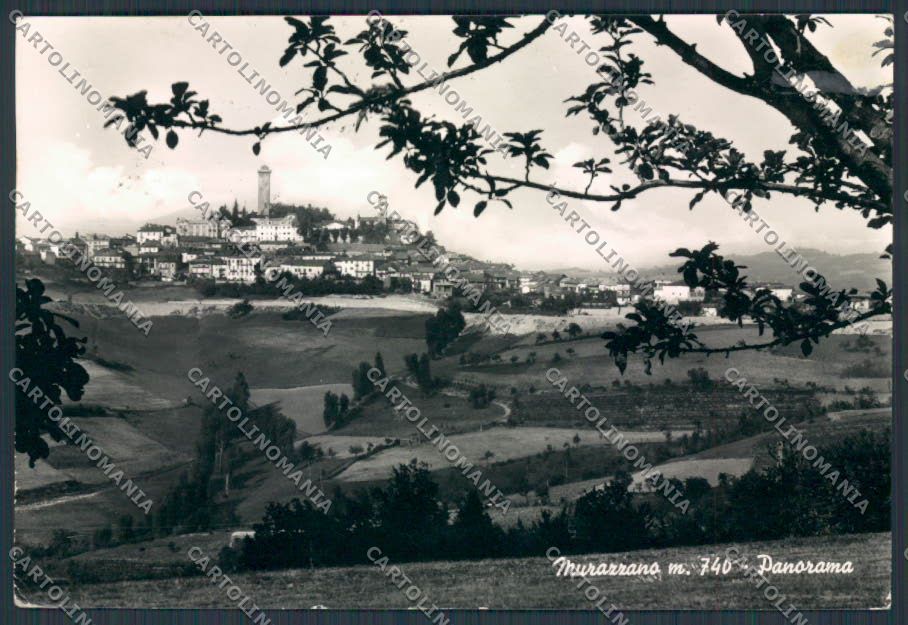 Cuneo Murazzano Panorama foto FG cartolina BB3533 – fronte