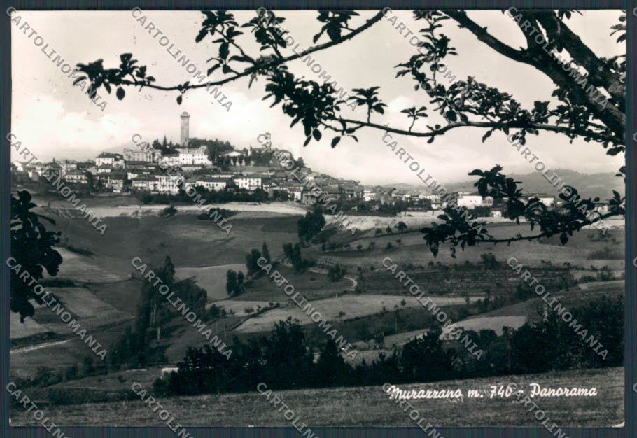 Cuneo Murazzano Panorama foto FG cartolina BB3534 – fronte