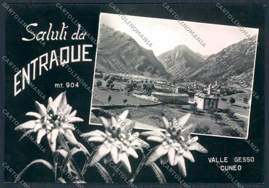 Cuneo Entraque saluti da Panorama foto FG cartolina BB3538 – fronte