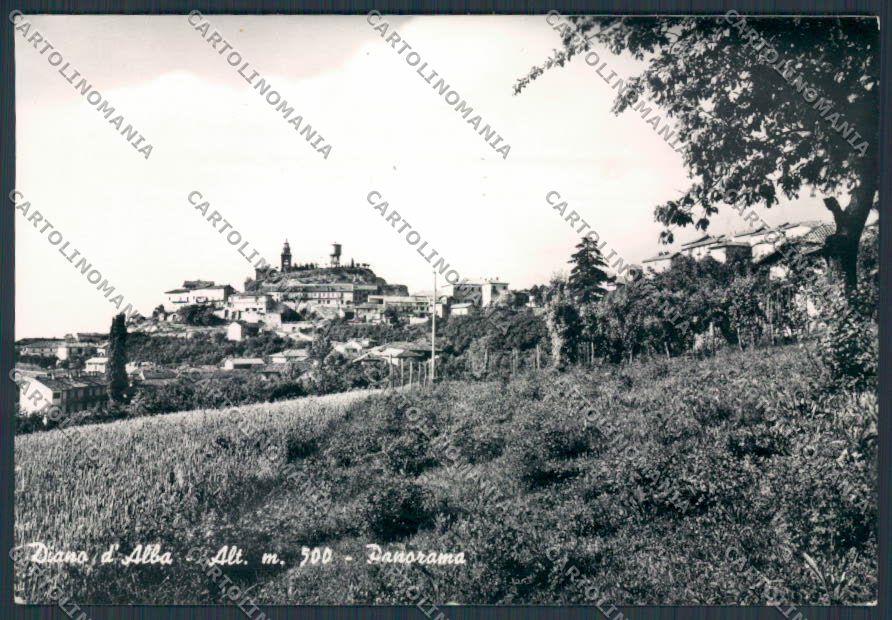 Cuneo Diano d'Alba Panorama foto FG cartolina BB3596 – fronte