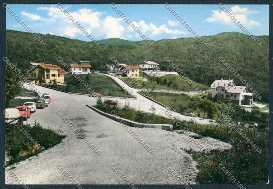 Bologna Pian del Voglio Panorama foto FG cartolina BB3692 – fronte