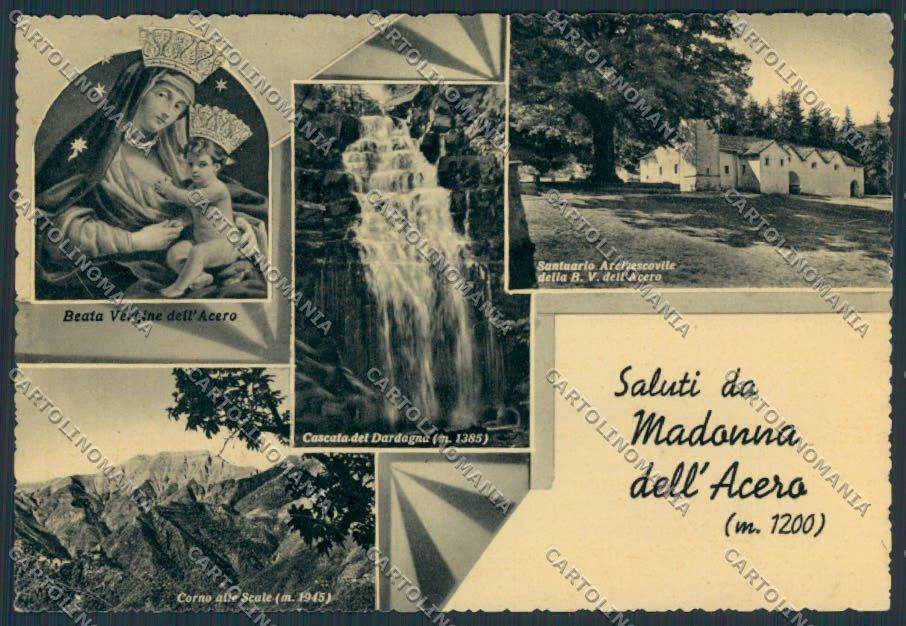 Bologna Madonna Dell'Acero Saluti da Santuario FG cartolina BB3699 – fronte