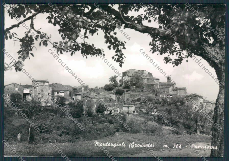 Grosseto Montorgioli Panorama foto FG cartolina BB4080 – fronte