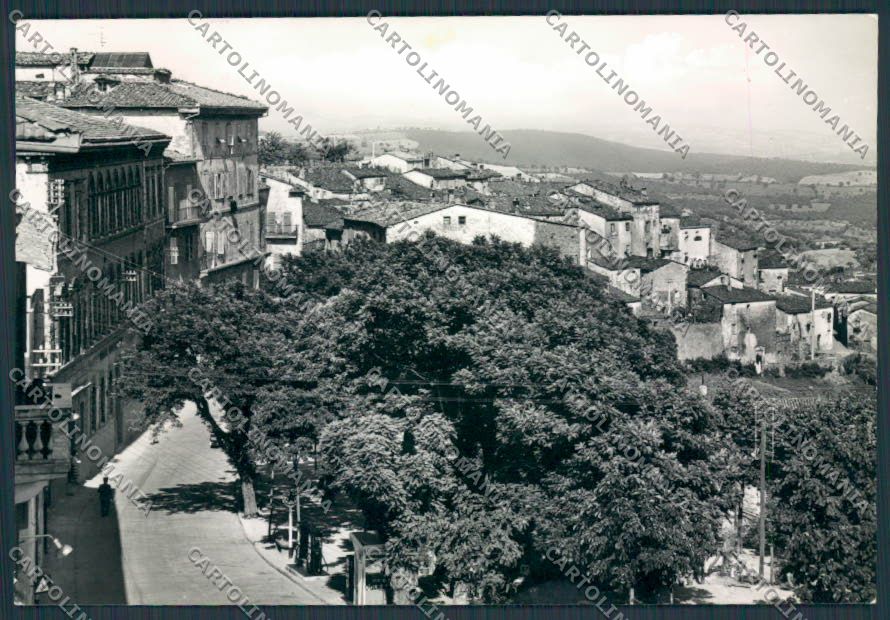 Grosseto Scansano Panorama foto FG cartolina BB4098 – fronte