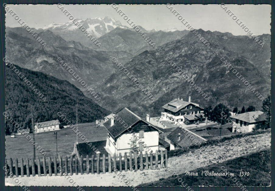 Vercelli Mera Panorama foto FG cartolina BB4142 – fronte