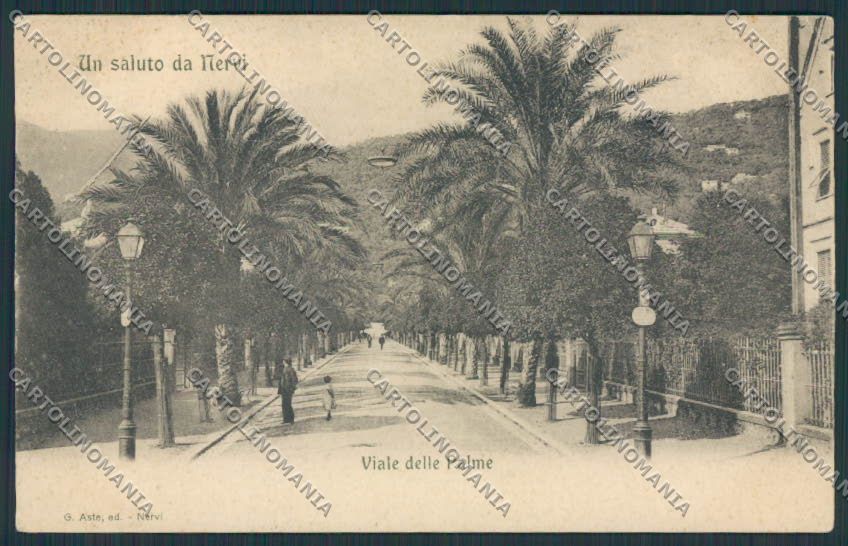 Genova Nervi Viale delle Palme PIEGHINA cartolina BB4270 – fronte