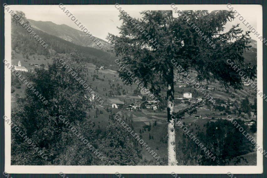 Trento Palù Sant Orsola Panorama foto cartolina BB4362 – fronte