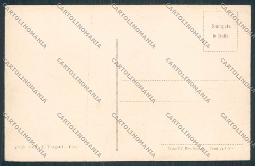 Pisa Tenuta San Rossore Dromedari cartolina BB4369 – retro